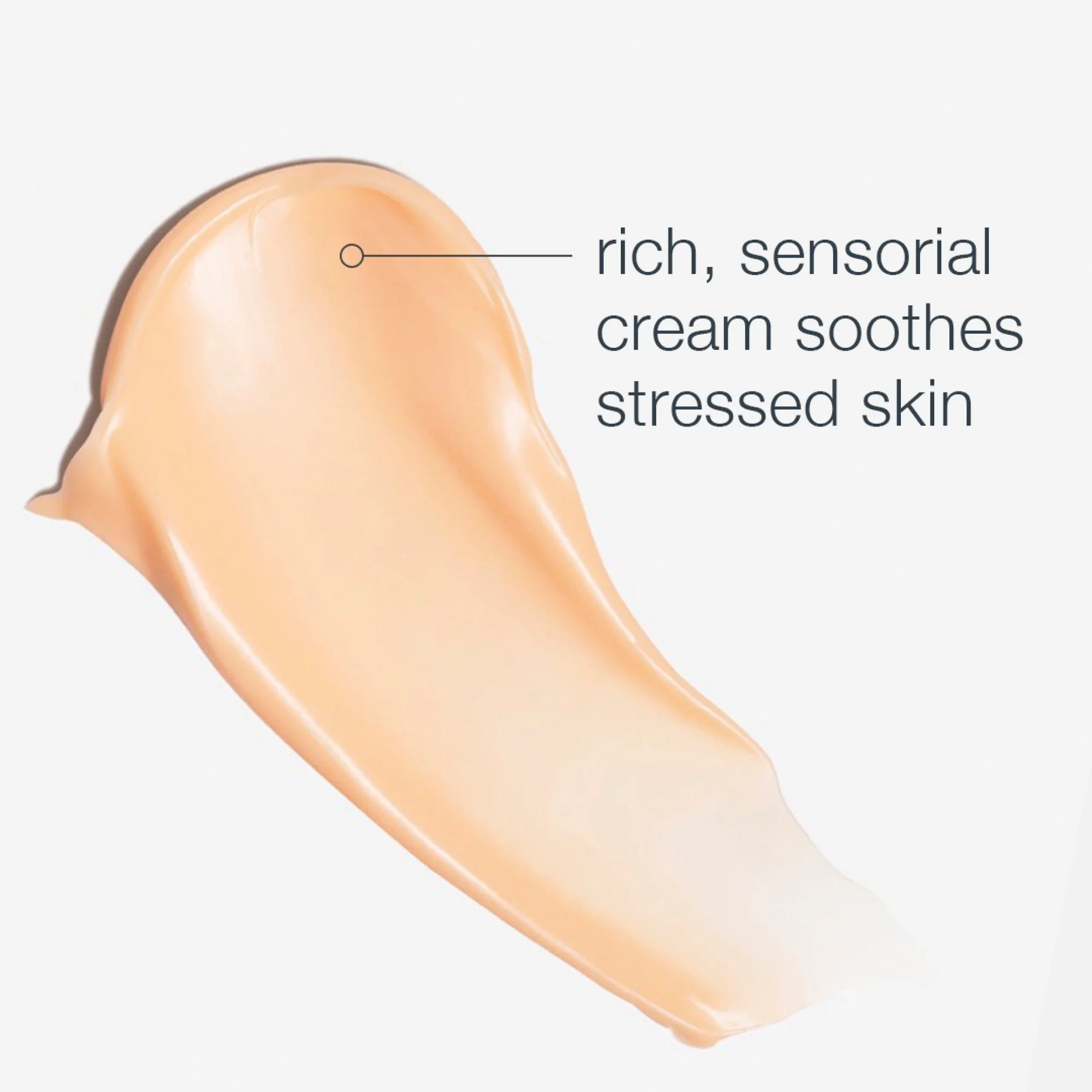 multivitamin power recovery cream - Image 4